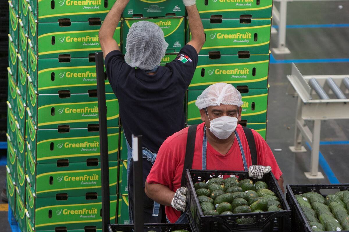 Sector agroalimentario, clave en balanza comercial positiva de 2019
