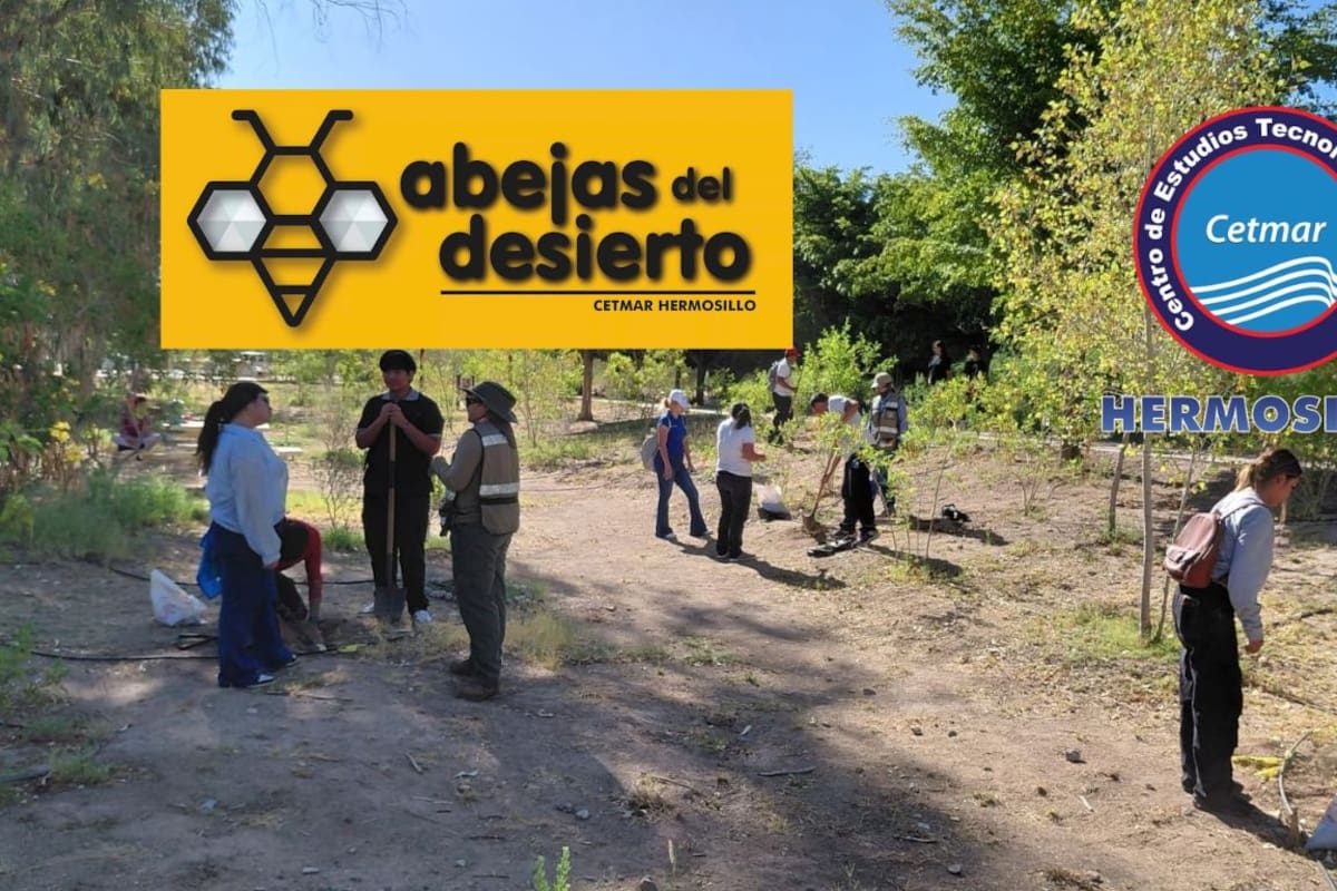 Abejas del Desierto, una iniciativa nacida en CETMAR Hermosillo, impulsa una propuesta de red de viveros escolares que busca producir 100 mil plantas nativas al año para reforestar la ciudad