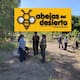 Abejas del Desierto propone viveros escolares en Hermosillo