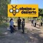 Abejas del Desierto, una iniciativa nacida en CETMAR Hermosillo, impulsa una propuesta de red de viveros escolares que busca producir 100 mil plantas nativas al año para reforestar la ciudad