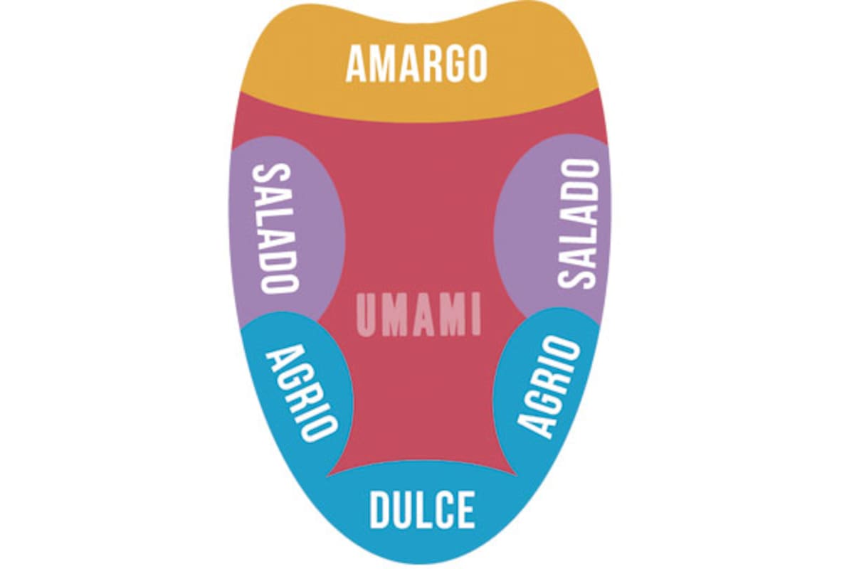 ¿Qué es el umami? Explorando el quinto sabor
