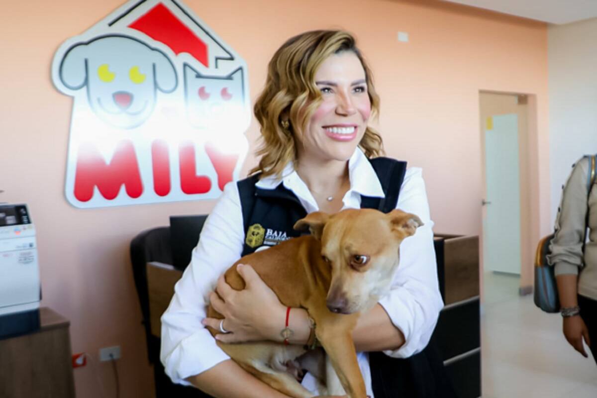 Informa Gobernadora avances en operación del Santuario Animal Mily