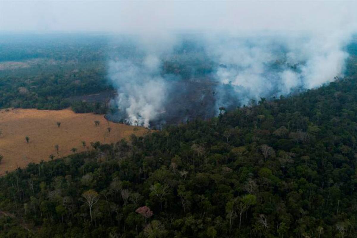 Amazonía: se registra el mayor número de incendios en la zona desde 2007