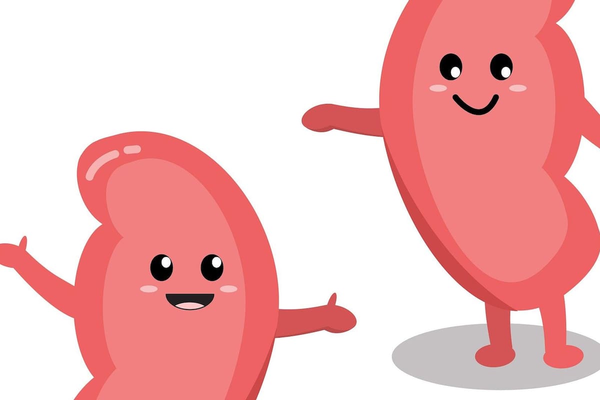 Día mundial del riñón: Hiperparatiroidismo en México, ¿Qué saber?