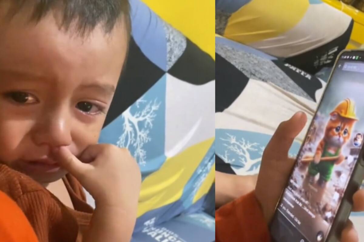 VIDEO | Niño se viraliza por llorar al ver un vídeo de gatitos hecho por Inteligencia Artificial