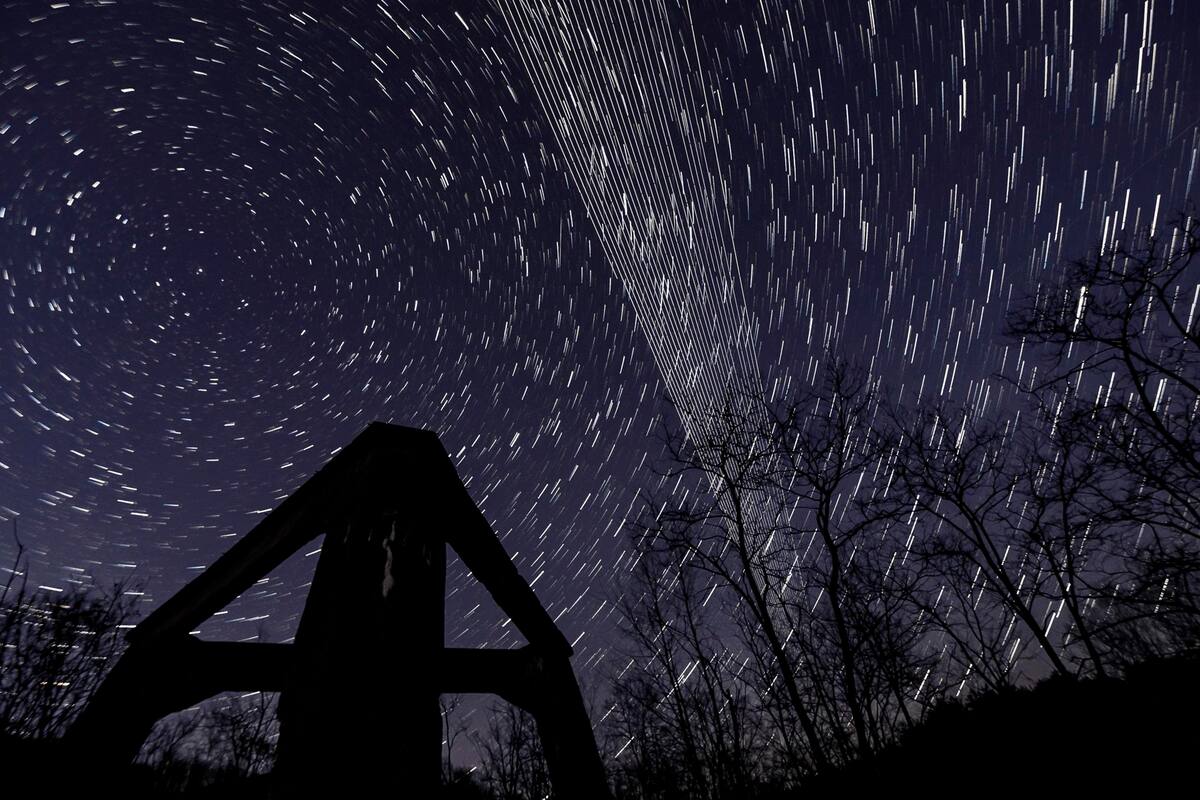 Rusia estaría consiguiendo terminales de Starlink a través de terceros para comunicarse en el frente, según Kiev