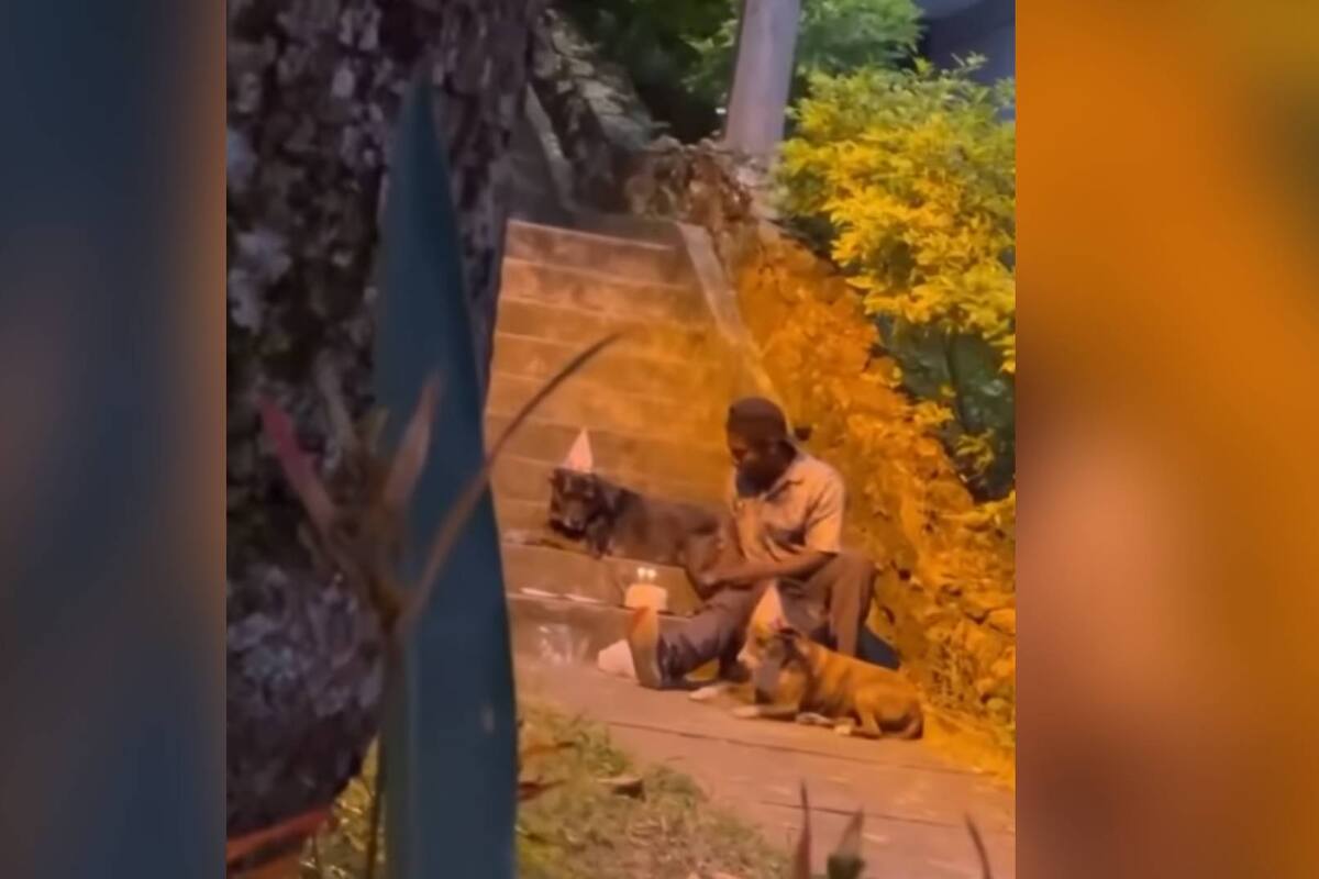 Video Viral: Hombre en situación de calle celebra su cumpleaños junto a sus perros