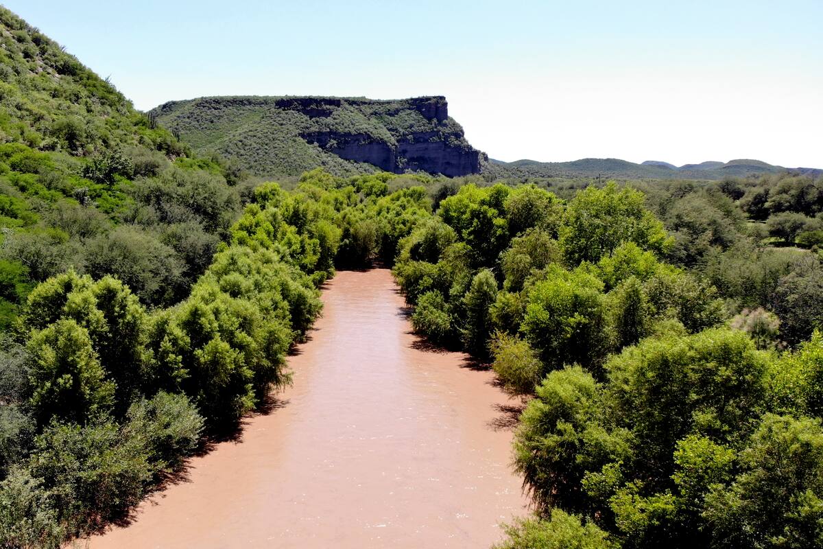Conagua considera normal que sequía en Sonora aminore en temporada de aguas