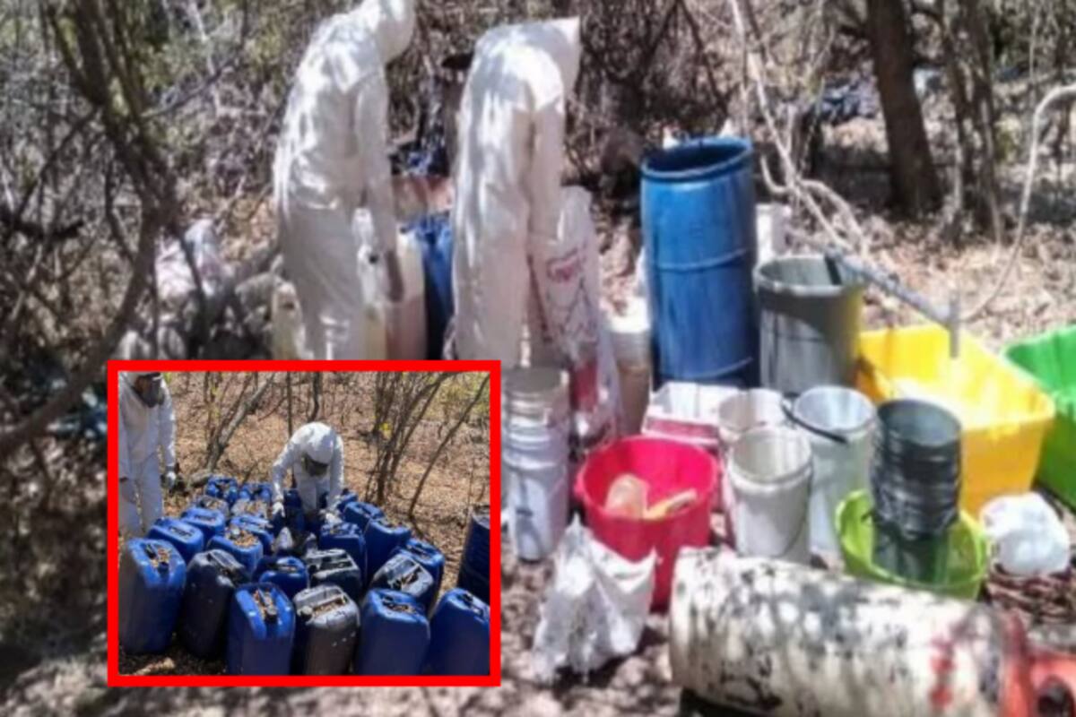 Ejército asegura 15 laboratorios clandestinos en Culiacán y Cosalá