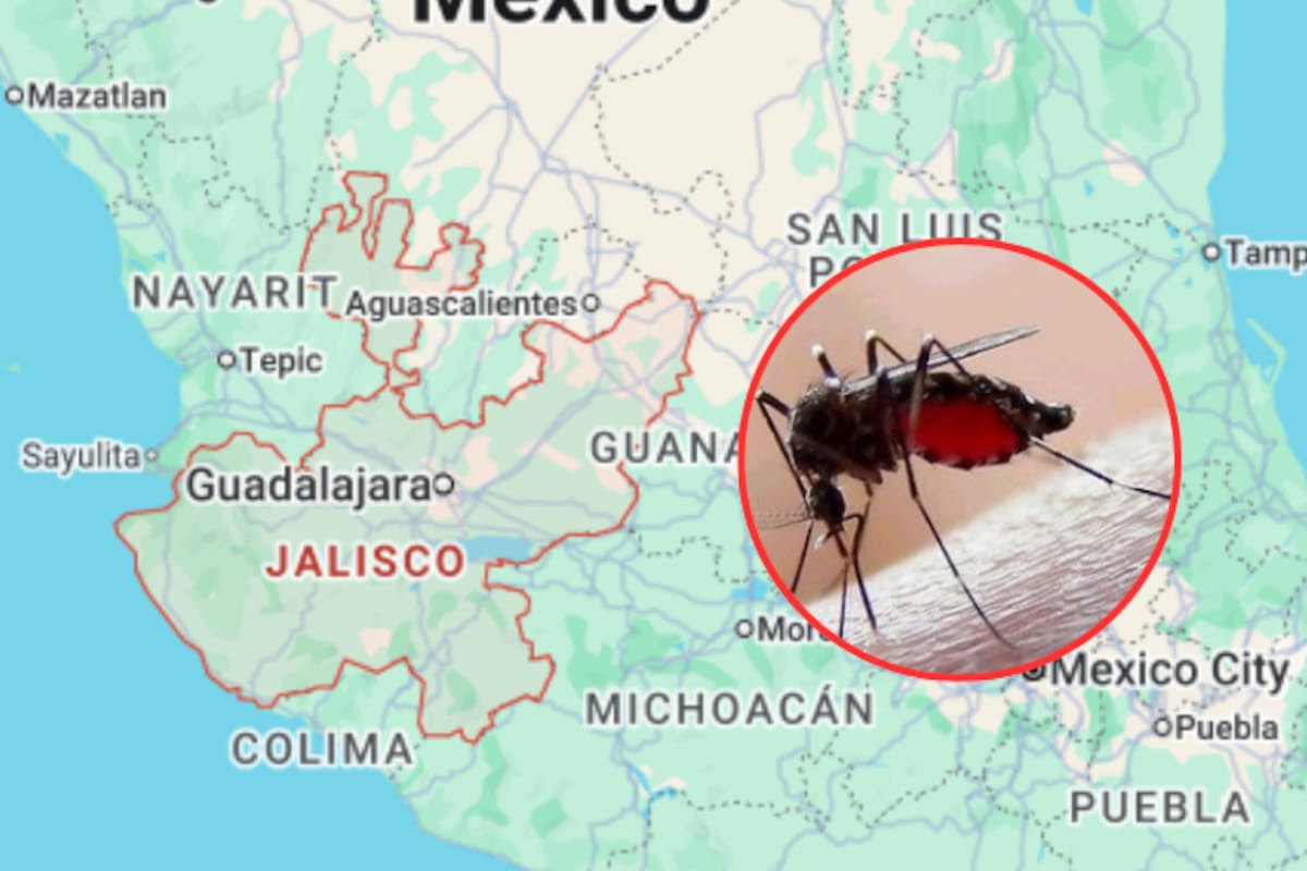 Jalisco lidera casos de dengue en México: Se registran 975 enfermos