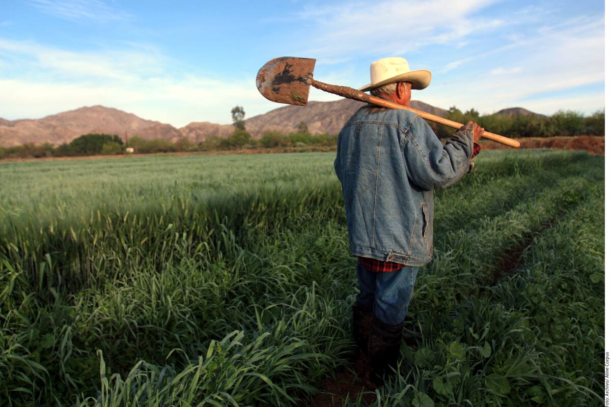 Chihuahua tiene asegurado el 100% de agua para el ciclo agrícola: Conagua