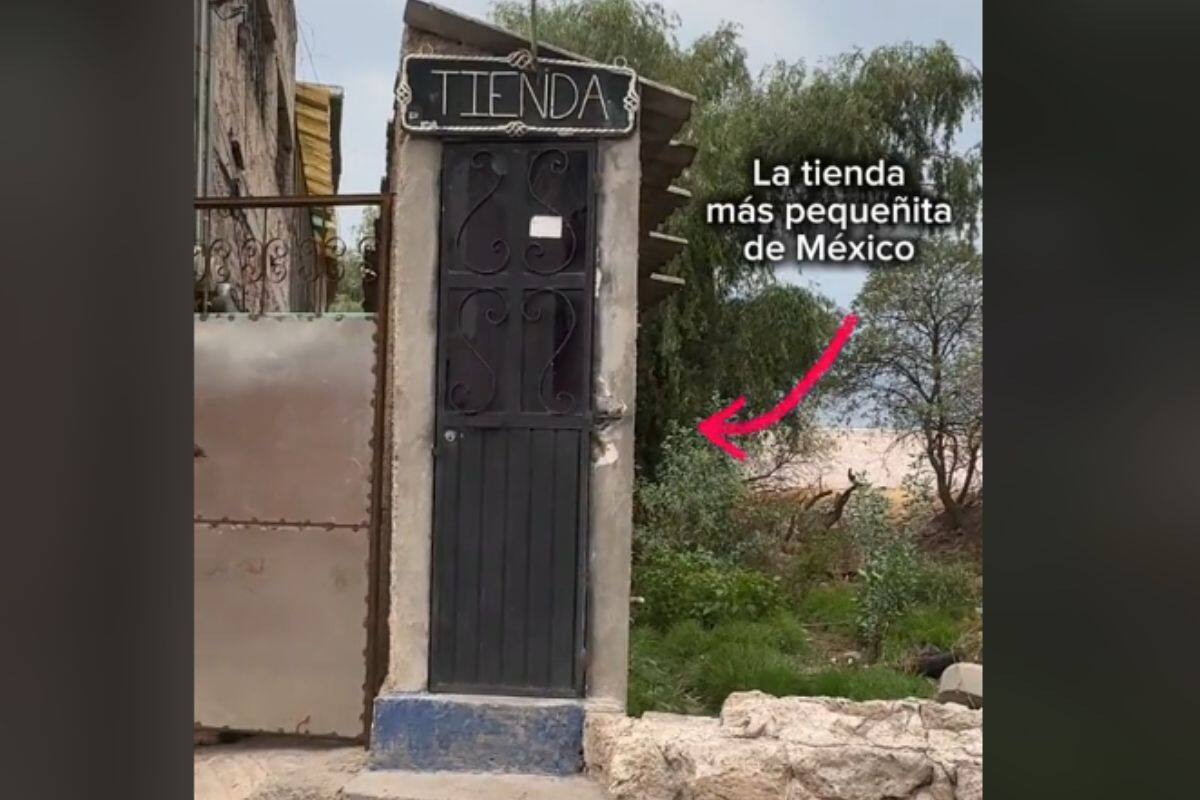 VIDEO: La tiendita más "chiquita" de México se hace viral en TikTok