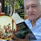 “La codicia y la corrupción las trajeron los españoles”, afirma AMLO al presentar su libro “Grandeza”, donde reivindica la cultura prehispánica