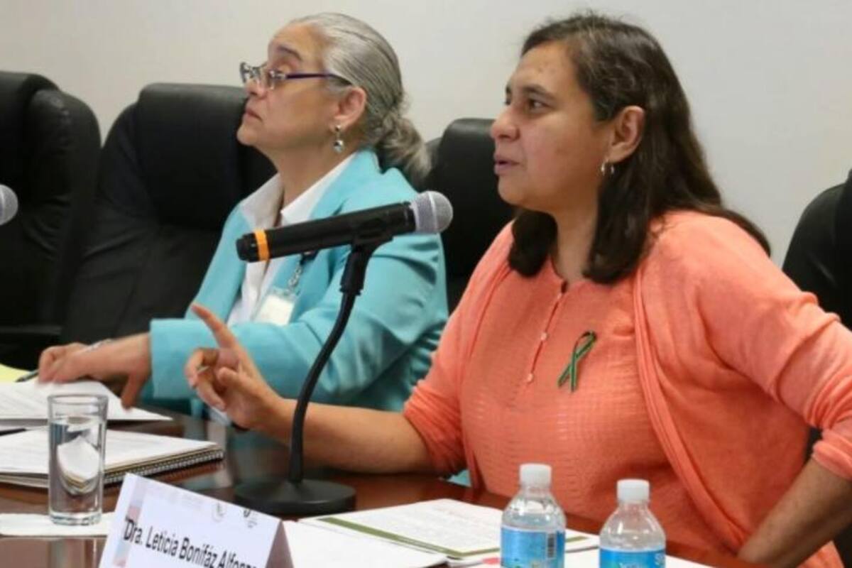 Leticia Bonifaz es electa como experta ante el Comité para Eliminación de la Discriminación contra la Mujer de ONU