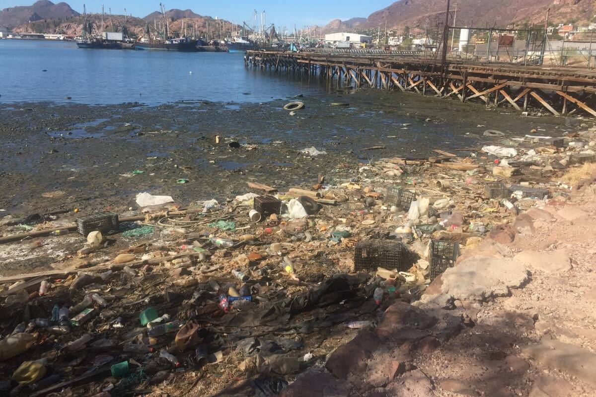 Más de 14 millones de toneladas de microplásticos contaminan el fondo de los océanos: Estudio