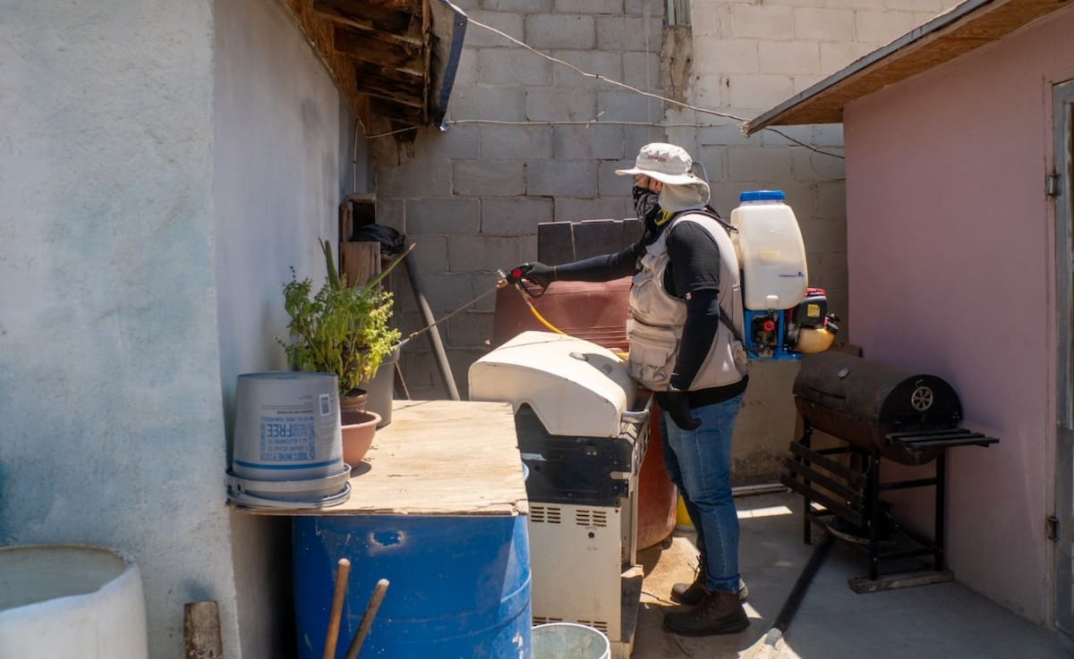 Una vez que se identifica a un paciente con ese diagnóstico, se toman las muestras necesarias, comienza un tratamiento, y el programa de Zoonosis y Vectores de la JSST hace fumigación en las zonas señaladas, y se buscan a posibles personas contagiadas.