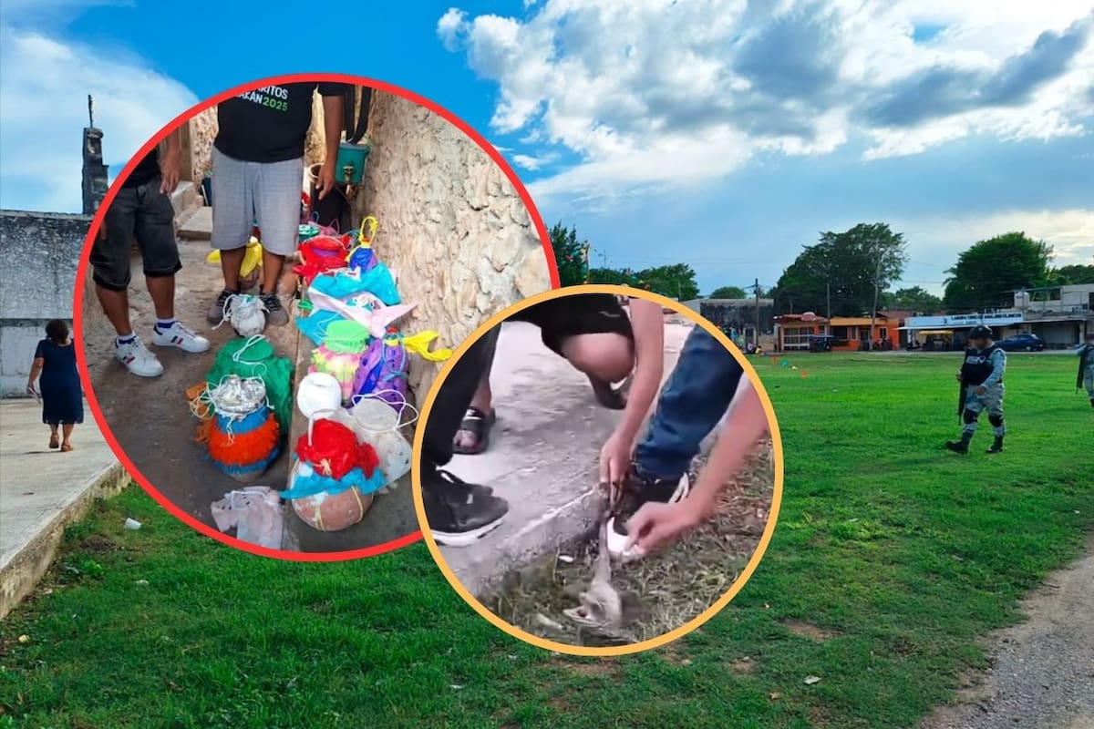 Profepa actúa contra maltrato animal en Calkiní, Campeche: Detalles y sanciones