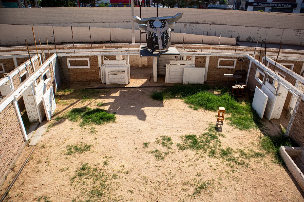 Foto: Andrés O. Farrera.