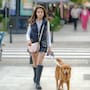 ¿Vas a pasear con tu lomito? Consejos para un paseo seguro