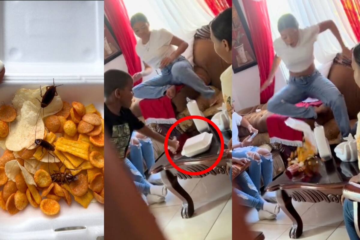Joven aterroriza a su hermana al regalarle una charola con cucarachas (VIDEO)