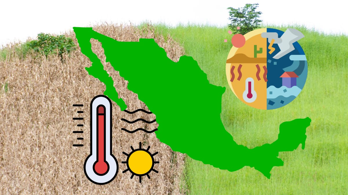Aunque el cambio climático avanza en todo el mundo, expertos alertan que en México la tasa de calentamiento se duplicó y podría provocar impactos severos en las próximas décadas