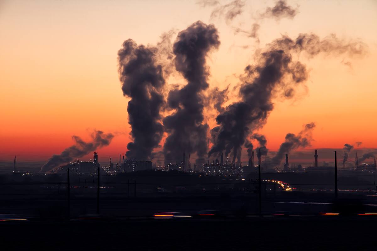 “La contaminación ambiental contribuyó a su muerte”: el juicio por el fallecimiento de una niña británica que sienta un precedente histórico