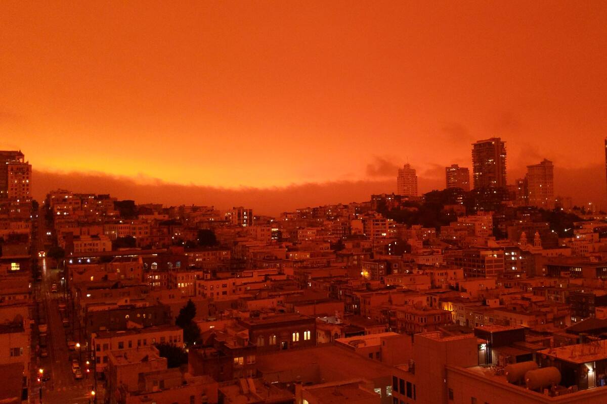 Incendios en California: por qué cada año son peores y qué dicen los expertos sobre el futuro climático de la quinta economía mundial