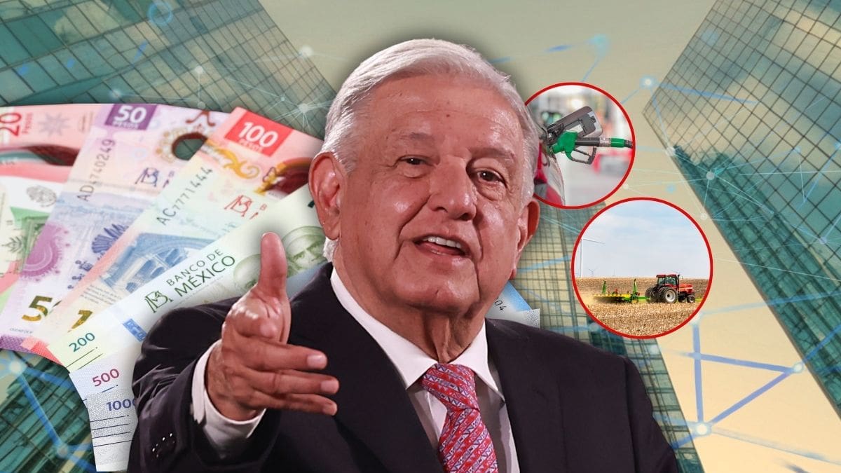 La red empresarial del cuñado de AMLO habría sumado seis compañías en gasolinas, pagos y agronegocios con capital de 11.4 millones de pesos y fue revisada por Hacienda y la UIF sin detectar irregularidades