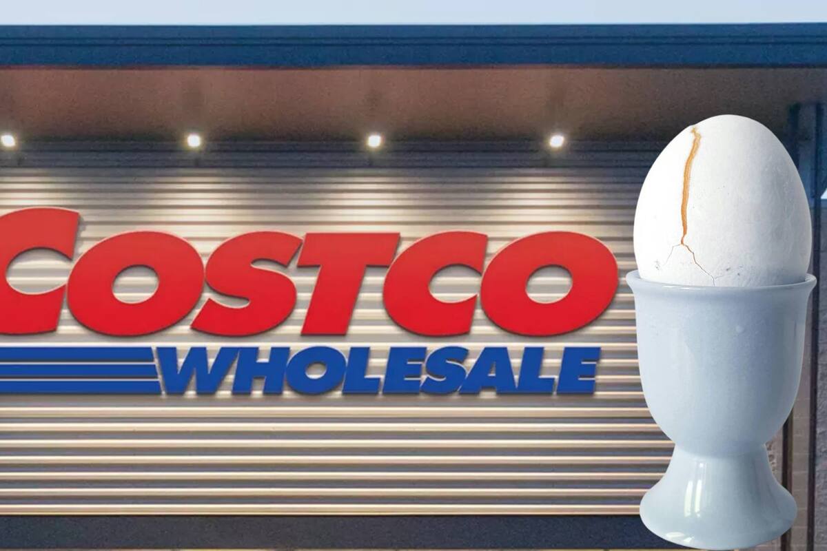 ¡Alerta en Costco! Retiran huevos orgánicos por riesgo de salmonela