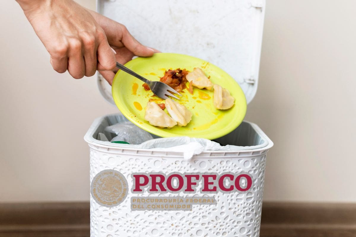 Profeco comparte consejos prácticos para reducir el desperdicio de alimentos en casa