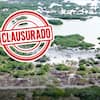 Profepa clausura obras ilegales en Yucatán: más de 18 mil m² de manglar devastado para asentamientos irregulares con quema y lotificación clandestina