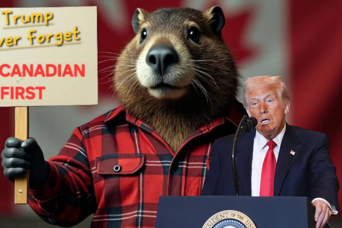 “Hecho en Canadá”, “Producto de Canadá” y “Buy Canadian first”: Estas son las opciones de los canadienses para NO comprar productos de EU