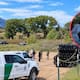La Nación Tohono O’odham busca frenar la construcción del muro fronterizo en 100 kilómetros de sus territorios ancestrales y condena la tala del árbol sagrado “La Abuela” en Arizona, además de denunciar daños a sitios arqueológicos y culturales por las obras de la barrera