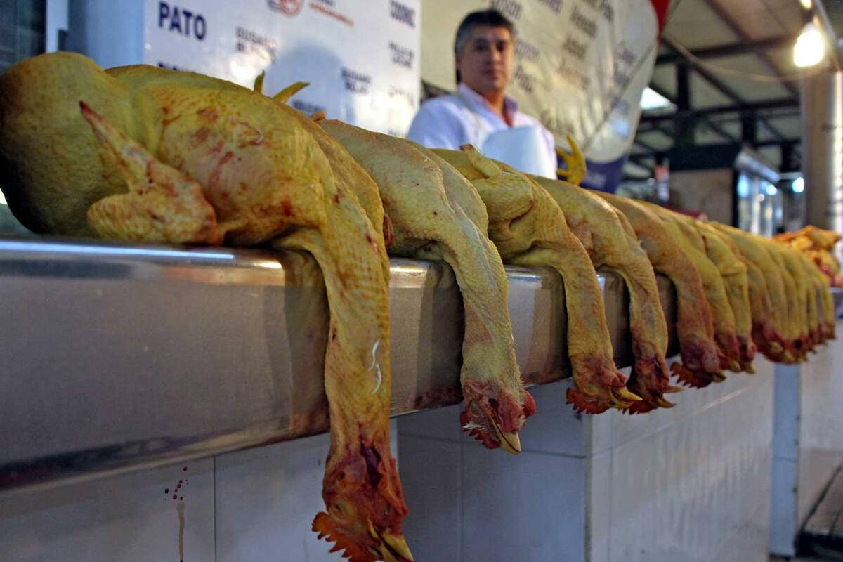 Chayote, naranja, aguacate y pollo registran mayor aumento