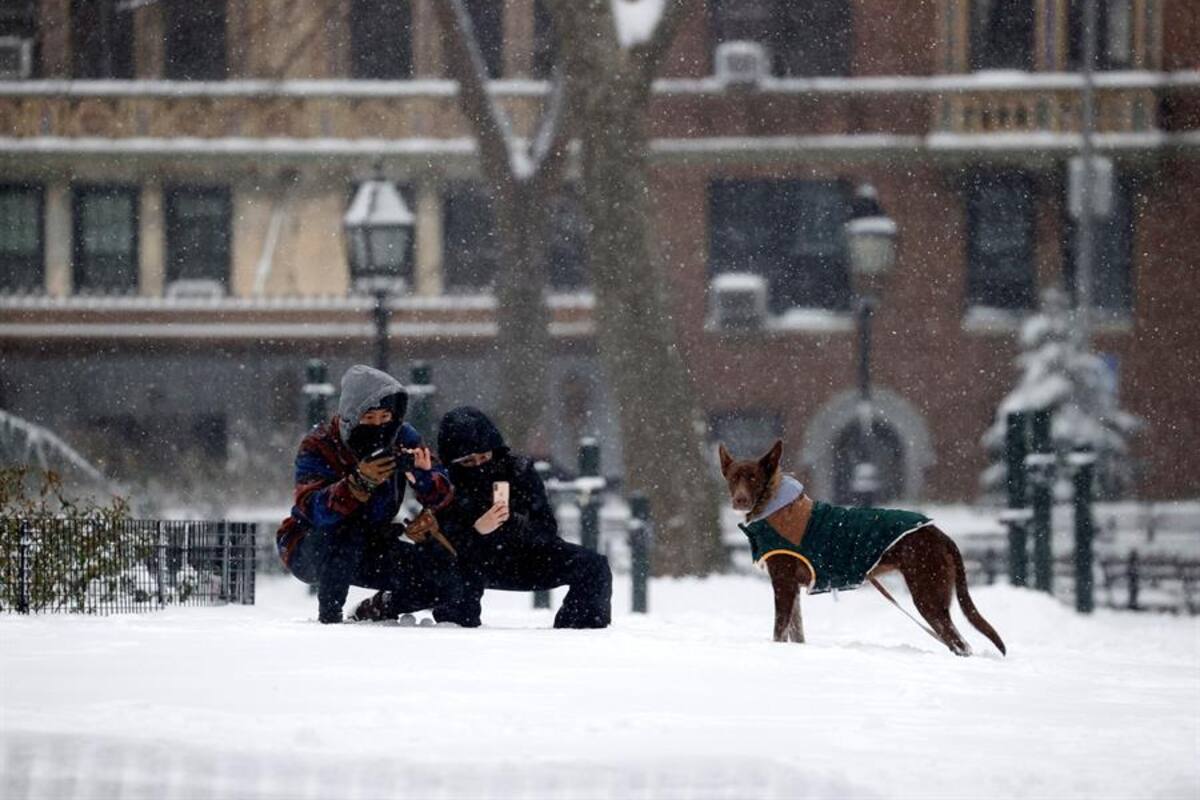 Nueva York se levanta con su mayor nevada en varios años