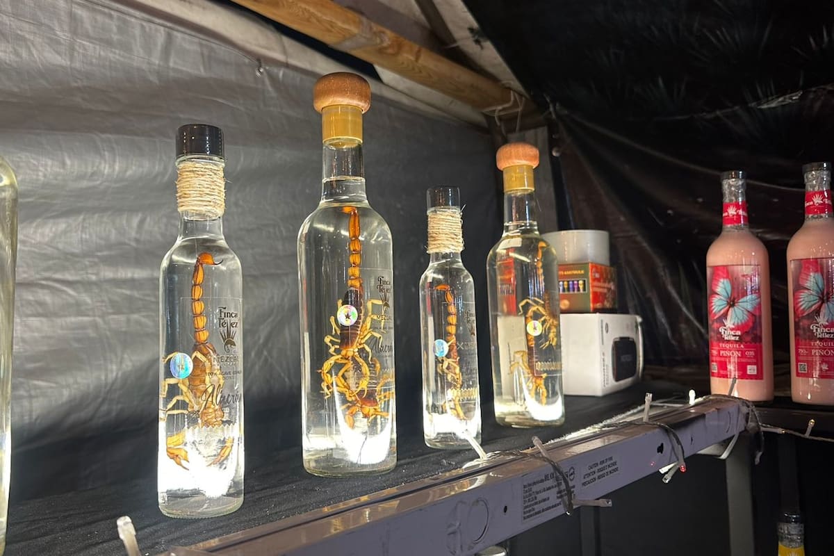 Los extravagantes mezcales con alacrán de Oaxaca