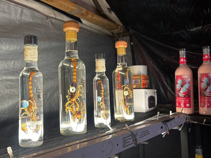 Los extravagantes mezcales con alacrán de Oaxaca