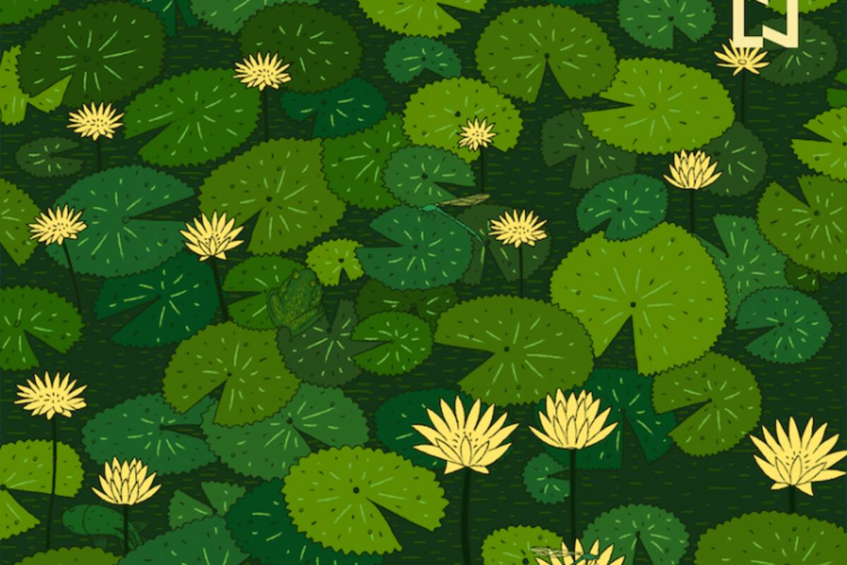 Encuentra los cinco animales camuflados entre el estanque