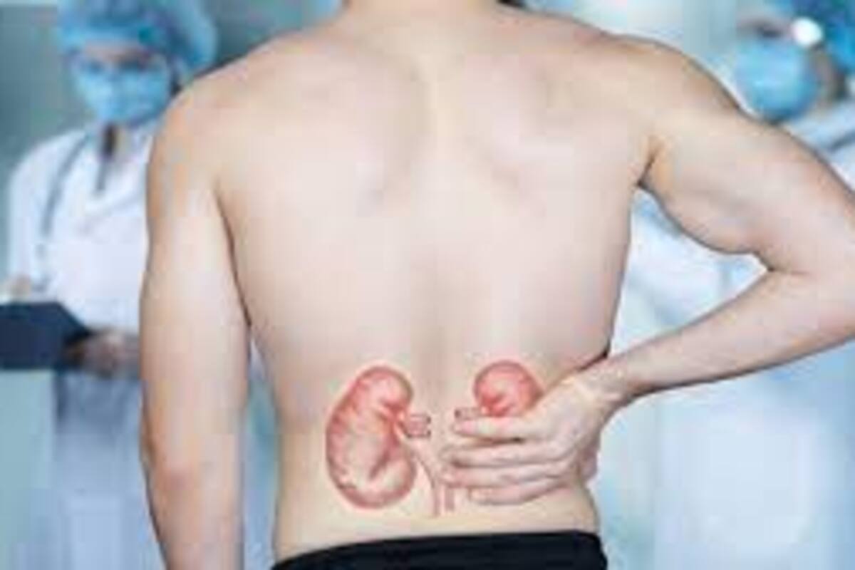 Riñones sanos y limpios con estos 8 hábitos respaldados por médicos