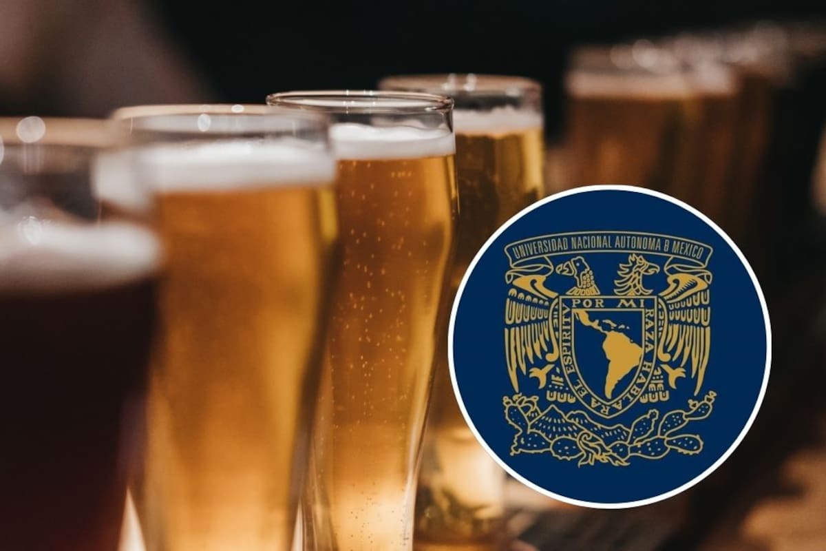 Investigadores de la UNAM elaboran cervezas artesanales más nutritivas al diseñarlas a base de plátano, calabaza y camote morado para diversificar la producción en el sector cervecero nacional