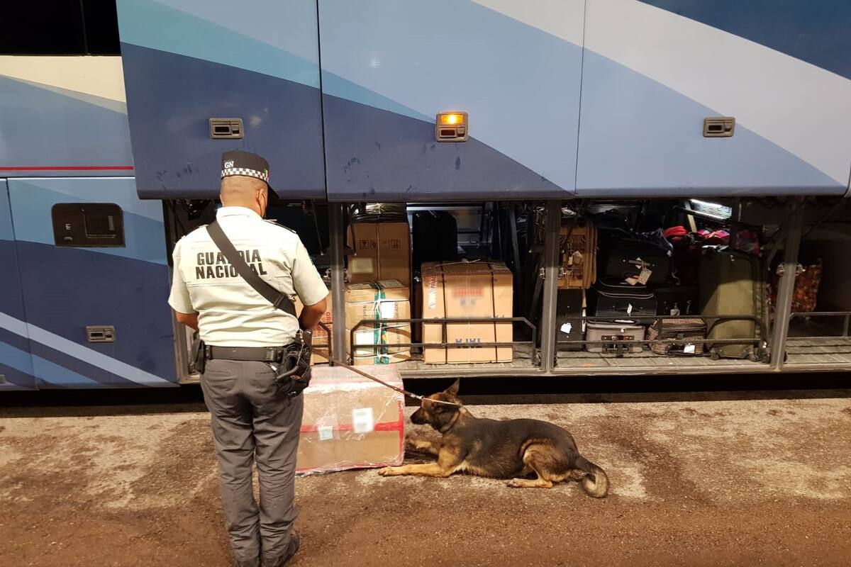 Elementos de la Guardia Nacional localizan paquetería con aparente mariguana en autobús de pasajeros