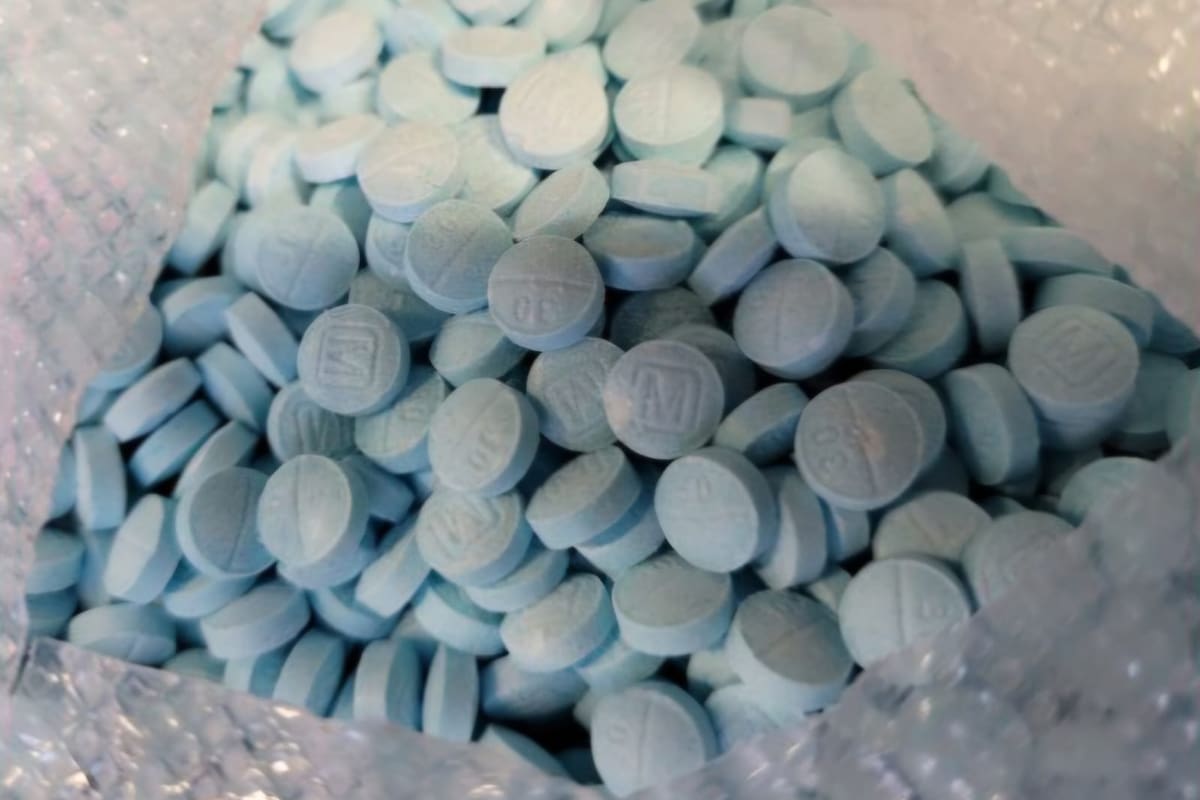 CDC advierte sobre “rhino tranq”, un potente sedante veterinario detectado en suministro de drogas ilegales en Estados Unidos