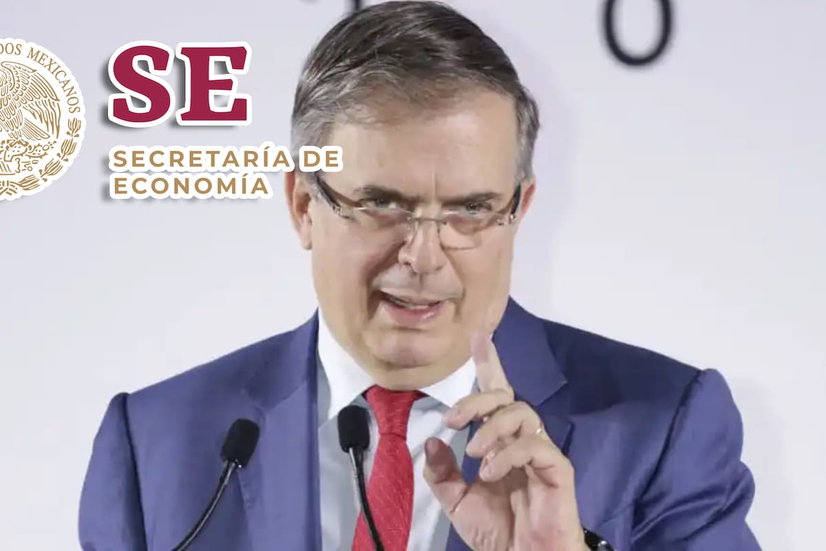 Conoce los perfiles del equipo que acompañará a Marcelo Ebrard en la Secretaría de Economía durante nueva administración