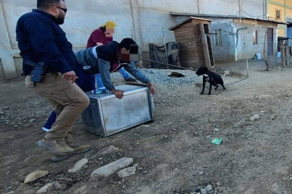 Detienen a sujeto que utilizó a su perro para atacar a una persona