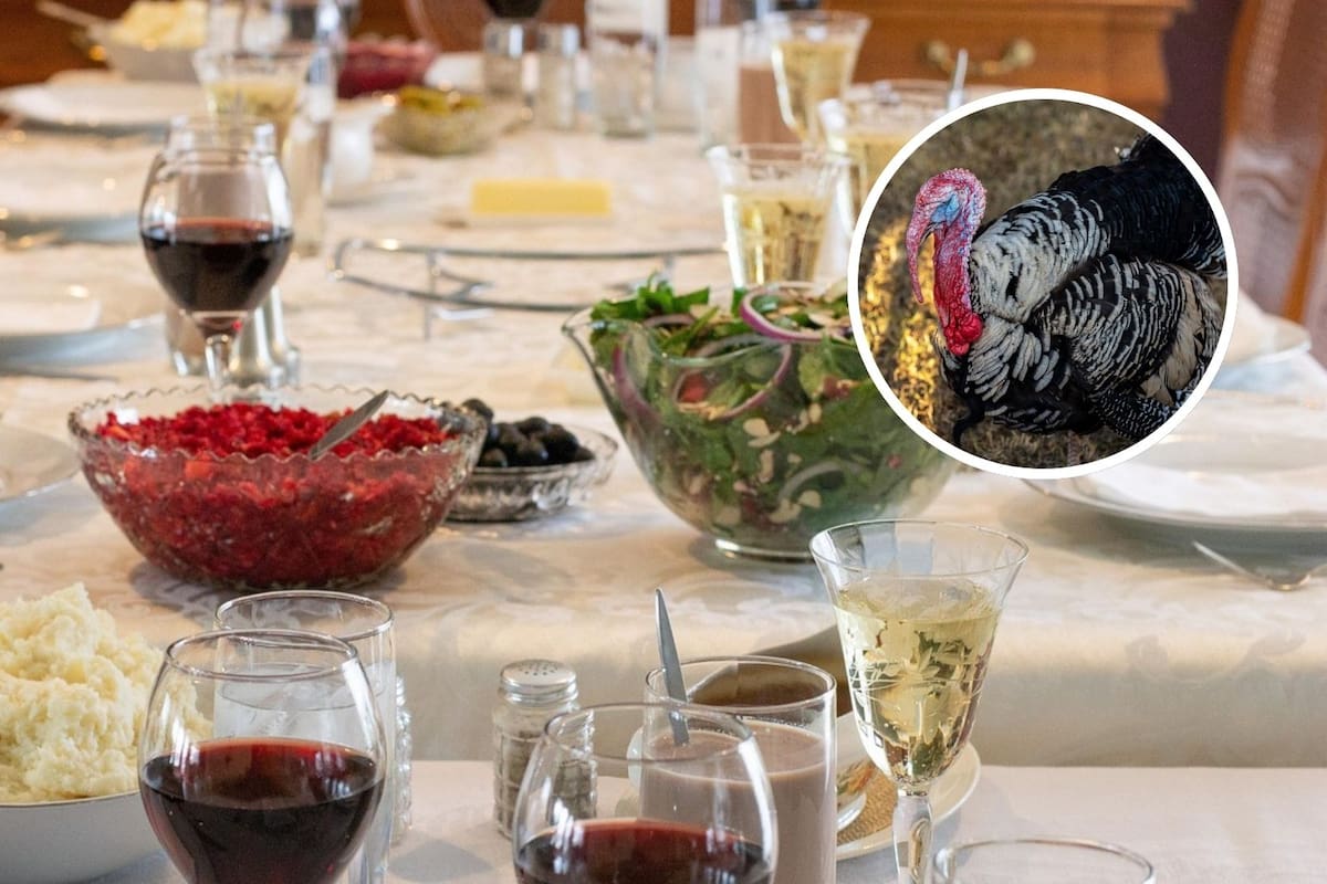 Día de Acción de Gracias: lo que debes saber sobre esta tradición mundial