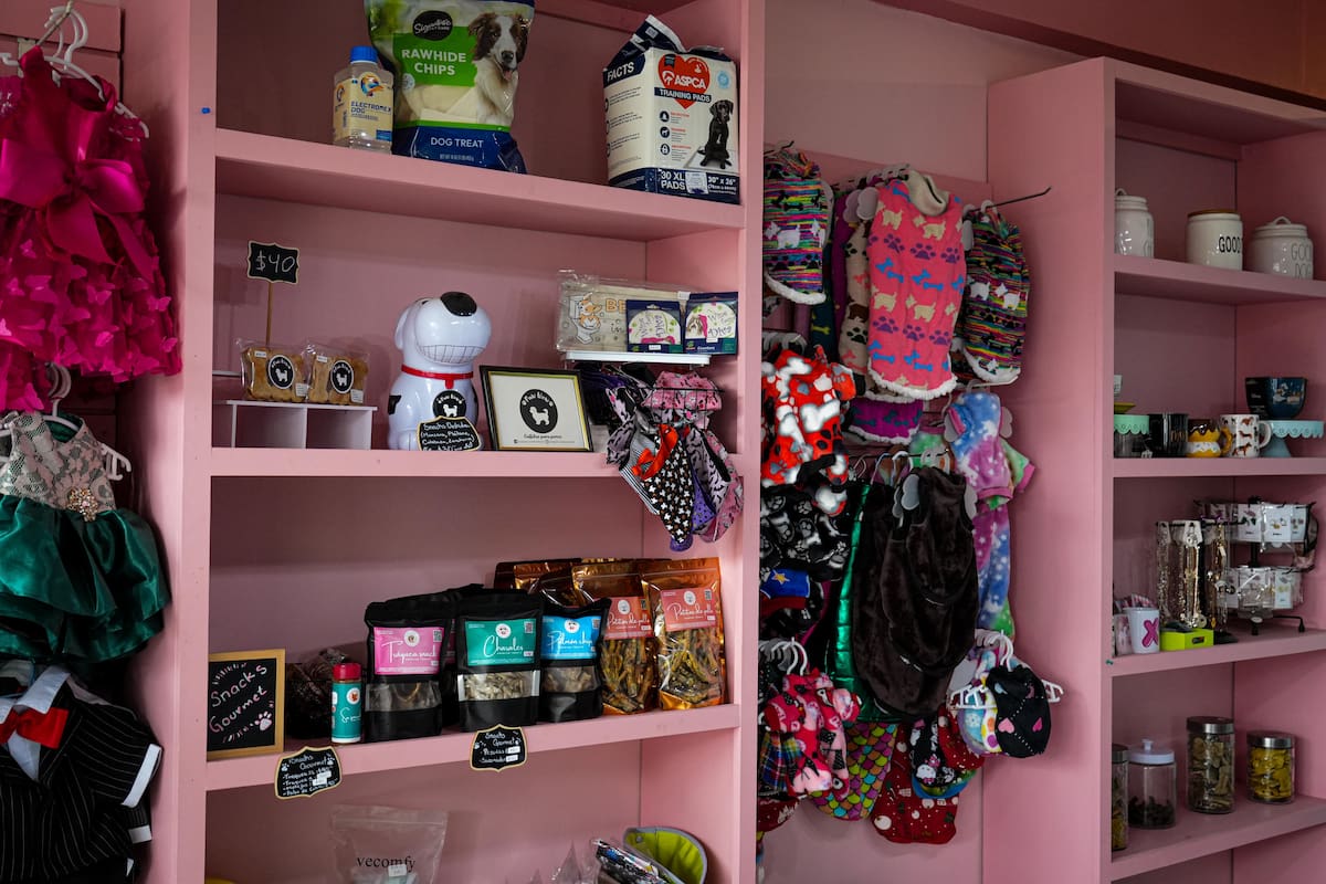 La emprendedora comentó que buscó ofrecer algo más personalizado, donde cada cliente pudiera elegir colores, temáticas y hasta personajes. Foto: Leonardo González