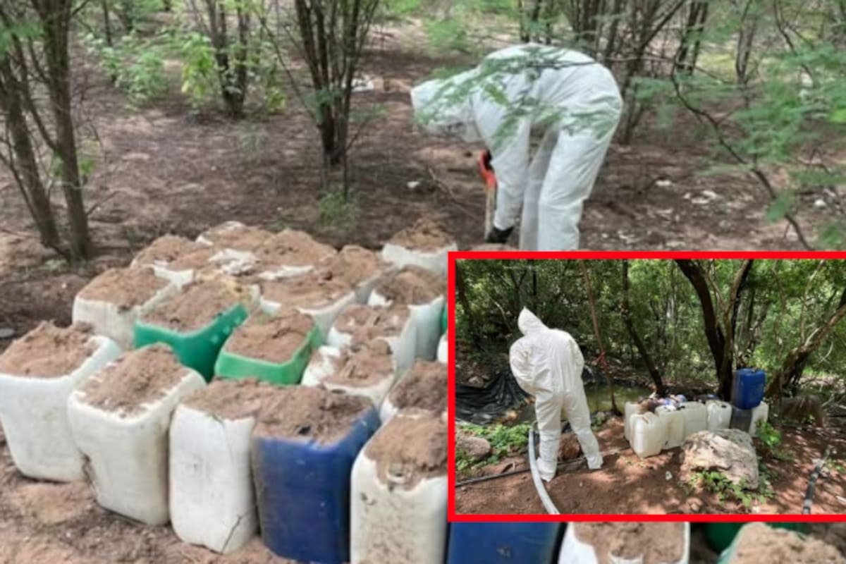 Destruyen cinco zonas con materiales para drogas sintéticas en comunidades rurales de Culiacán