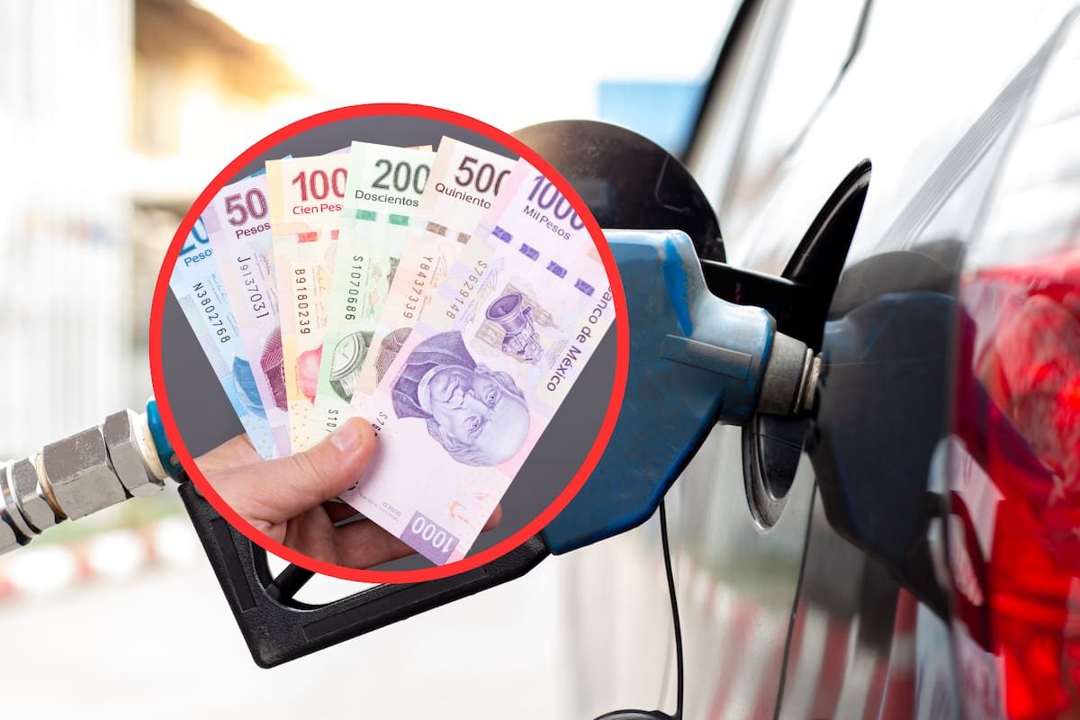 Es oficial: Precio de la gasolina continúa sin subsidio para automovilistas, confirma Hacienda