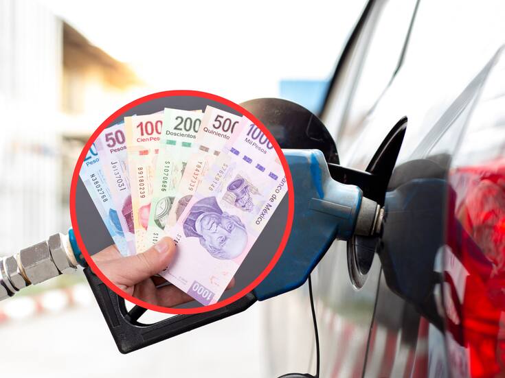 Es oficial: Precio de la gasolina continúa sin subsidio para automovilistas, confirma Hacienda