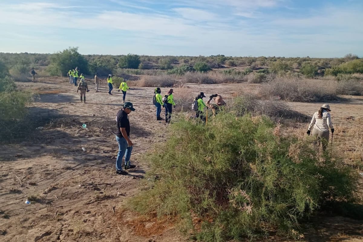 Se unen colectivos, estudiantes y autoridades en búsqueda de desaparecidos en Miguel Alemán